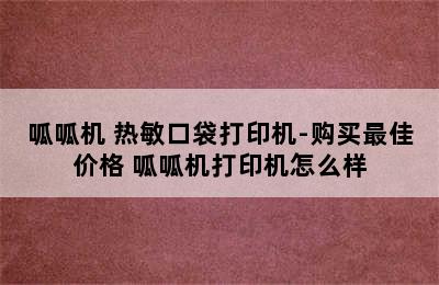 呱呱机 热敏口袋打印机-购买最佳价格 呱呱机打印机怎么样